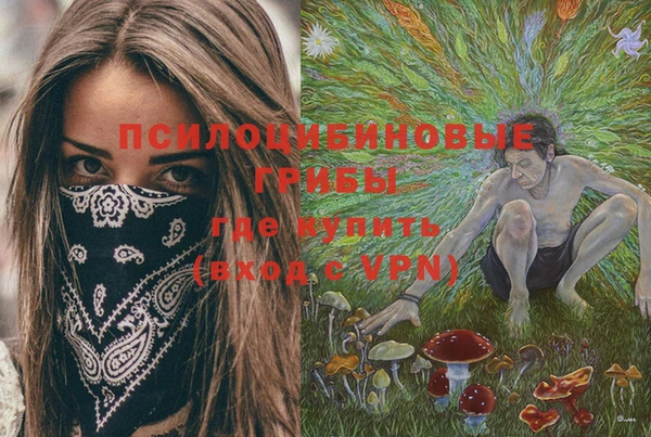 MDMA Premium VHQ Аркадак
