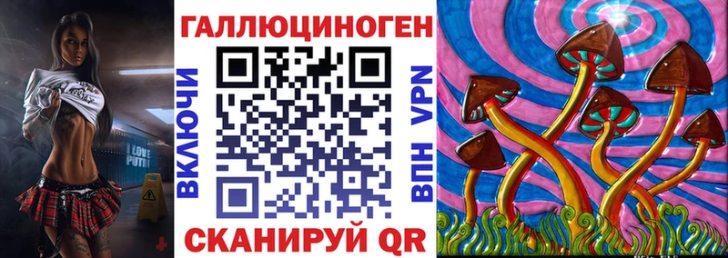 MEGA как зайти  Новое Девяткино  Псилоцибиновые грибы Magic Shrooms  купить  